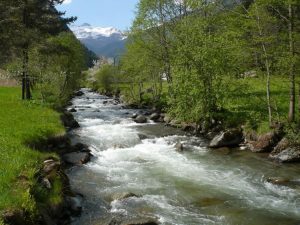 Torrente Rabbies